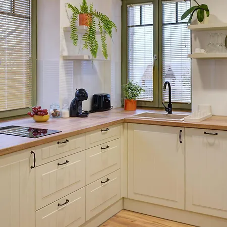 Rozmaring Zalaegerszeg